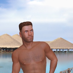 multiplayer virtual sex game player heterosexual verbose boy Roberttt, Marrocco, 