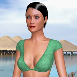 multiplayer virtual sex game player heterosexual verbose girl Soulight84, 