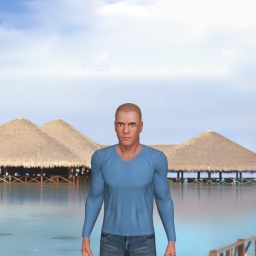 multiplayer virtual sex game player heterosexual narcissist boy Volflipcom, United States, 