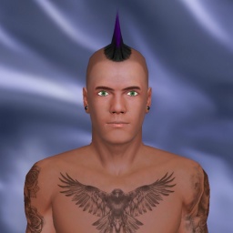 3Dsex game playing AChat community member heterosexual erotomanic boy Aussie666, 