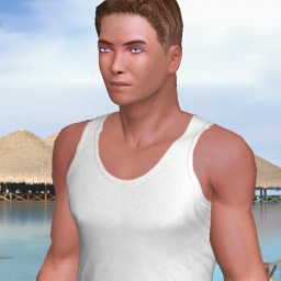3Dsex game playing AChat community member  hot boy Wowo, 