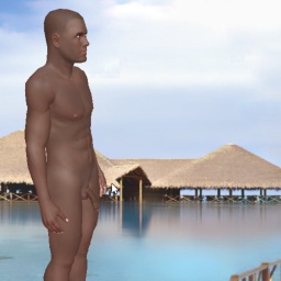 try virtual 3D sex with heterosexual pleasant boy Vuit, 