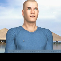 3D sex game community member heterosexual nymphomaniac boy Chanjin1, 