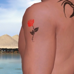 multiplayer virtual sex game player heterosexual sexy boy Hero0000, egypt, Shh, 