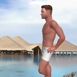 multiplayer virtual sex game player  hot boy Deisen, 