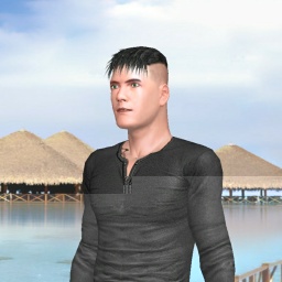 enjoy virtual sex games with mates like heterosexual sexy boy Vrsilent, 