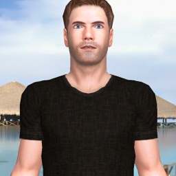 partner heterosexual conversable boy Mastive, new here, would love to know the basics if u want to show me :) for adult online game playing