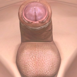 partner bisexual erotomanic boy Jebby, I like dog anus, i want gretta thunder burgs gerithy ass on my face. for adult online game playing