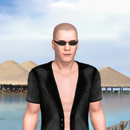 partner heterosexual erotomanic boy Supremo23, domination for adult online game playing