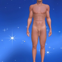 partner heterosexual sentimental boy Rainsze,  for adult online game playing