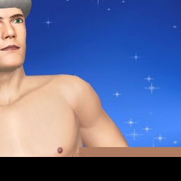 multiplayer virtual sex game player heterosexual pervert boy A1057702388, Australia, Vic 3199, 