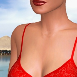 multiplayer virtual sex game player bisexual lovesick girl Chen1998, iSRAEL, 