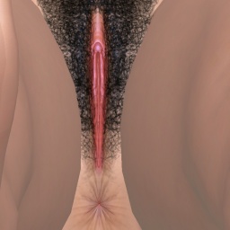 Check out  hot girl FoxxyDick,  if you want to oparticipate in sexgame MMORPG