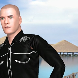 adults like heterosexual virile boy Shybro,  play AChat online sex games