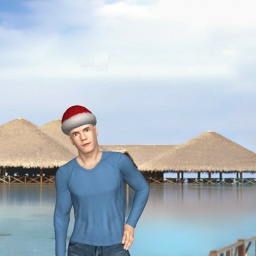 multiplayer virtual sex game player heterosexual narcissist boy Jprice95, US, 