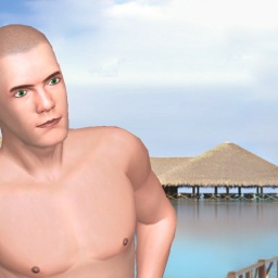 try virtual 3D sex with heterosexual brute boy Shemale1337, 