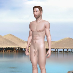 virtual sex game playing w. single girls like heterosexual sodomist boy Bvx500, US, 