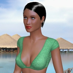 play virtual sex games with mate  hot shemale Capirina, Brazil, 