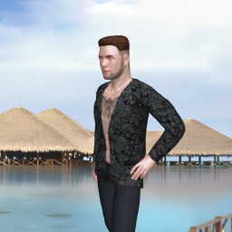 multiplayer virtual sex game player heterosexual brute boy Jo____, ger, 