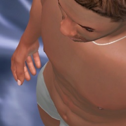 3Dsex game playing AChat community member heterosexual fiend boy Roberth, 