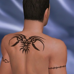 virtual sex and dating with people like heterosexual sodomist boy SnowD, 