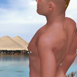 multiplayer virtual sex game player bisexual sodomist boy MinePeniss, Romania, 