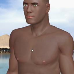 multiplayer virtual sex game player heterosexual pervert boy Axko79, Spain, Castilla, 