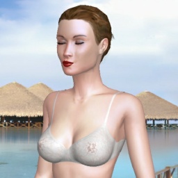 hot online porn game player heterosexual hot girl CCDCLS, japanese, 