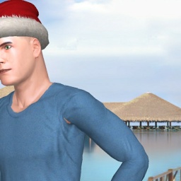 adults enjoying 3D sex games like heterosexual devoted boy Ulltimate, USA, 