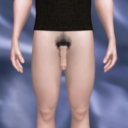 3Dsex game playing AChat community member heterosexual nymphomaniac boy AANNTT, 