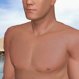 enjoy virtual sex games with mates like heterosexual passionate boy FSociety, hey quadale dingle here