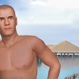 play virtual sex games with mate heterosexual bugger boy Link0y, united states, 