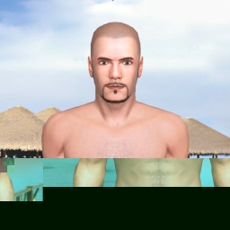 partner heterosexual erotomanic boy Moretti2505,  for adult online game playing