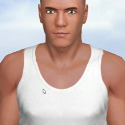 3Dsex game playing AChat community member heterosexual erotomanic boy Hitman1, 