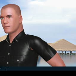 virtual sex game playing w. single girls like heterosexual pleasant boy SexMachine2, USA, 