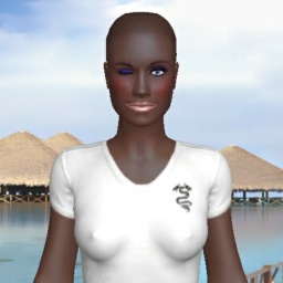 free 3D sex game adventures with bisexual hot shemale NBPanGirl, US, 