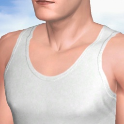 sexgame online MMO playing with adult member heterosexual erotomanic boy AussiBrent, 
