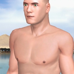 partner heterosexual fiend boy H5n1a1,  for adult online game playing