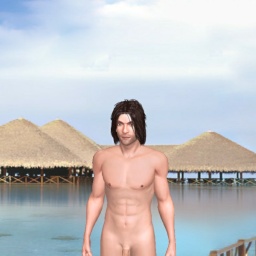 for 3D virtual sex game, join and contact heterosexual sentimental boy Guts, BRAZILLL!!!, 
