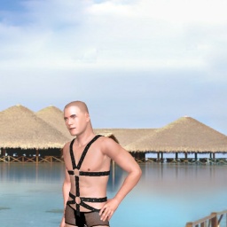 virtual sex game playing w. single girls like homosexual pervert boy Femboy_gay, 