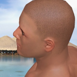 virtual sex and dating with people like heterosexual lovesick boy Carlosledher, us, 