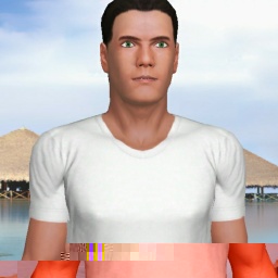 3D sex game community member heterosexual nymphomaniac boy DemDrgon, USA, 