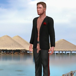 play online virtual sex game with member heterosexual passionate boy Domofthehood, Germany, 