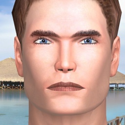 connect and play virtual 3D sex with heterosexual romantic boy Turnotron57, 