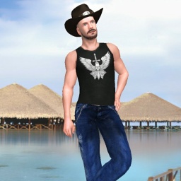 3Dsex game playing AChat community member heterosexual wordy boy Buttsniffer, 