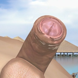 enjoy virtual sex games with mates like bisexual fond boy Sborraiolo, 