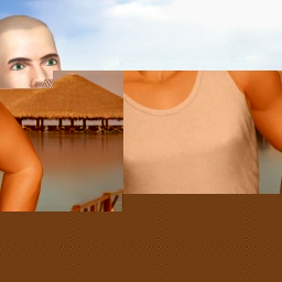 see heterosexual sexy boy Tmz123456, chinese,  while playing porn game online