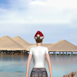 partner  lush girl Cmonman,  for adult online game playing