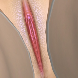 enjoy virtual sex games with mates like bisexual nymphomaniac girl Notfunnyy, 