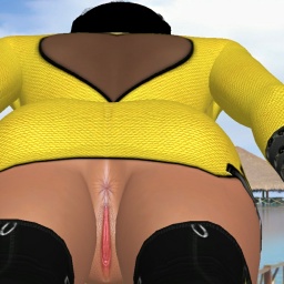 3Dsex game playing AChat community member bisexual fiend girl Ladyanal01, 